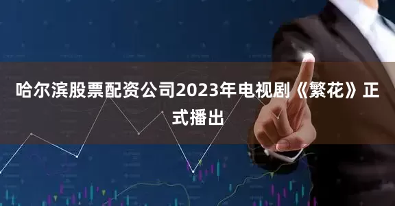哈尔滨股票配资公司2023年电视剧《繁花》正式播出