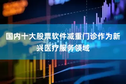 国内十大股票软件减重门诊作为新兴医疗服务领域