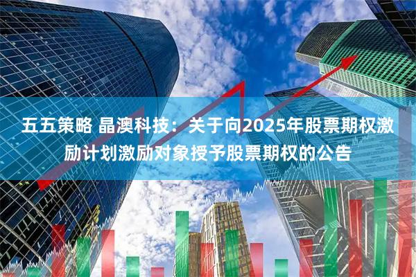五五策略 晶澳科技：关于向2025年股票期权激励计划激励对象授予股票期权的公告