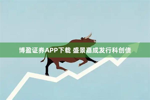 博盈证券APP下载 盛景嘉成发行科创债